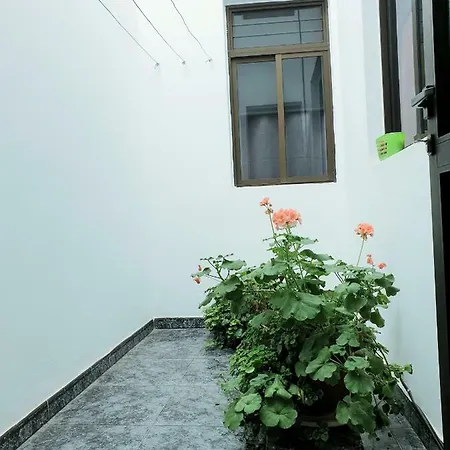 Mendoza-san Isidro Apartment San Isidro (Tenerife)