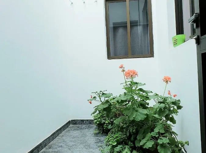 Mendoza-san Isidro Apartmán San Isidro (Tenerife)